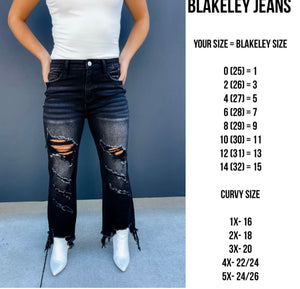 ✨IN STOCK ✨Blakeley Black Urban Distressed Crop Jeans