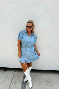 Braylin Denim Dress