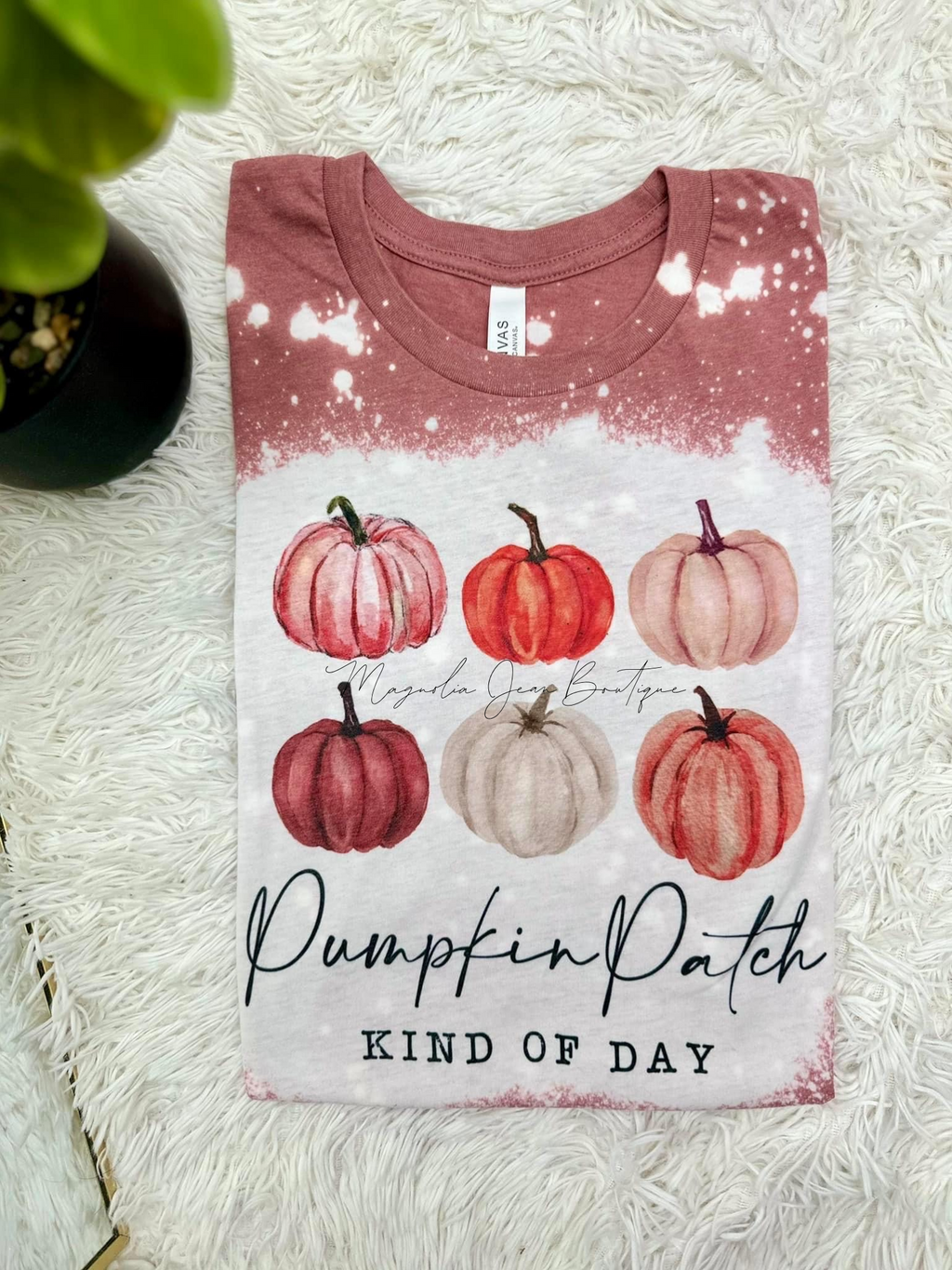 🖤Special Order🖤 S-4X Pumpkin Patch Bleached Tee
